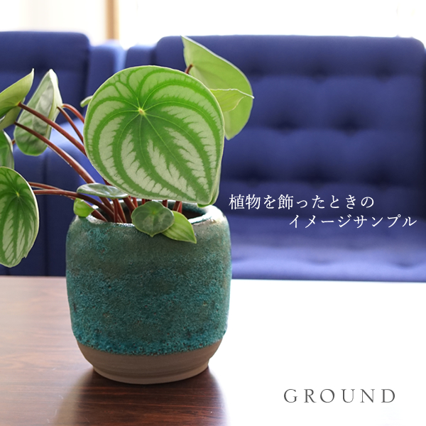 植木鉢 stem-c6308 Mサイズの通販・販売|全てのグリーンインテリア|は